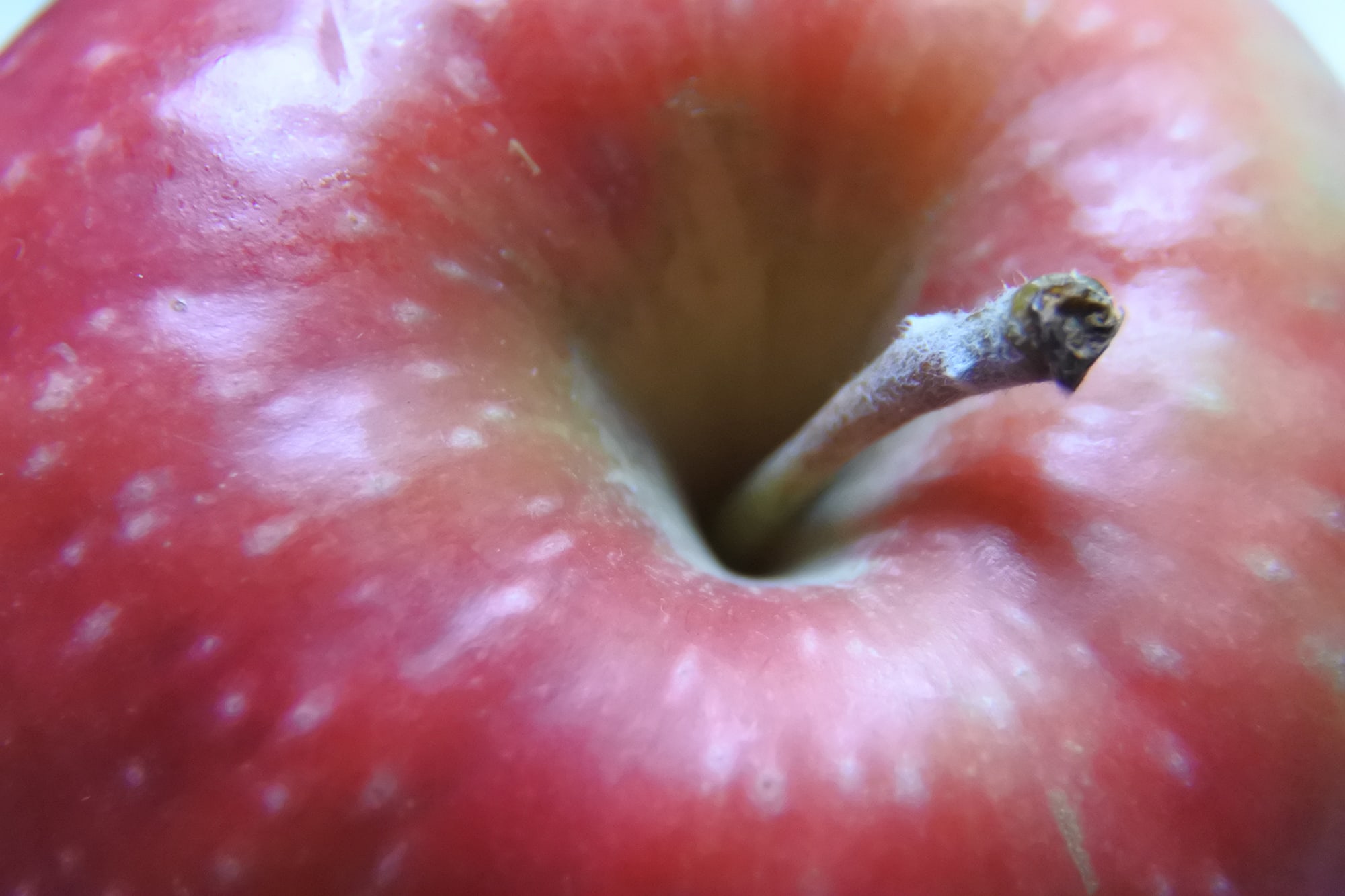 Apple with stalk