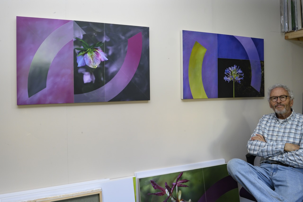 Studio View with Lenten Rose and Agapanthus