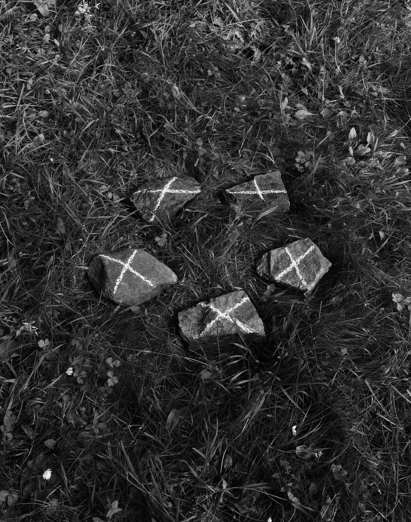 Lines on Rock, Ardpatrick, 1979