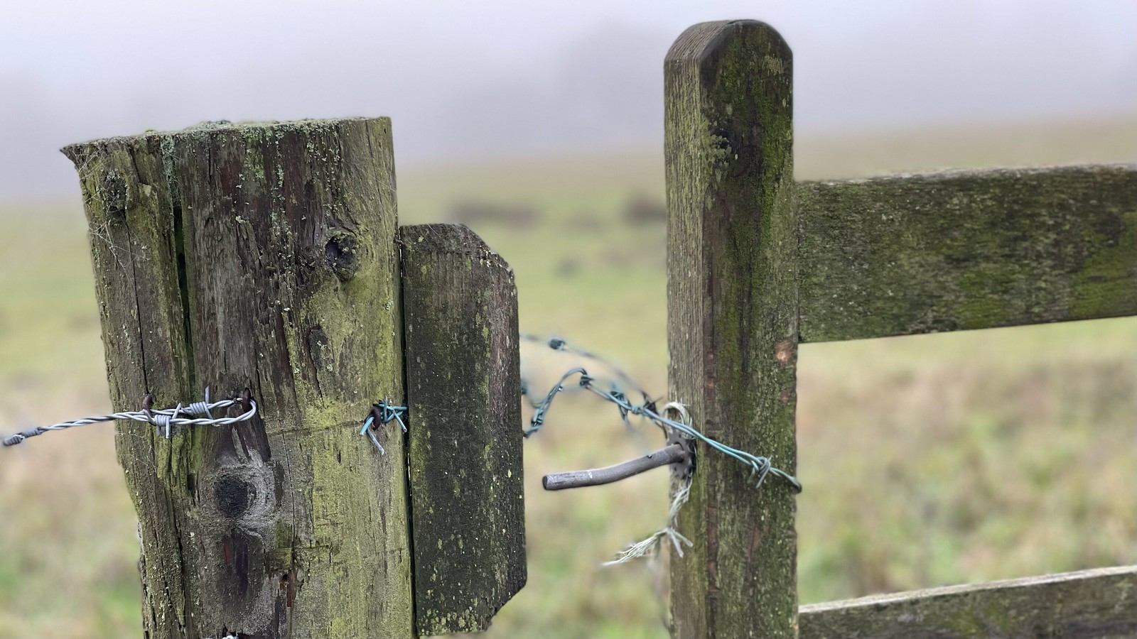 Dampness and weather and soft ground