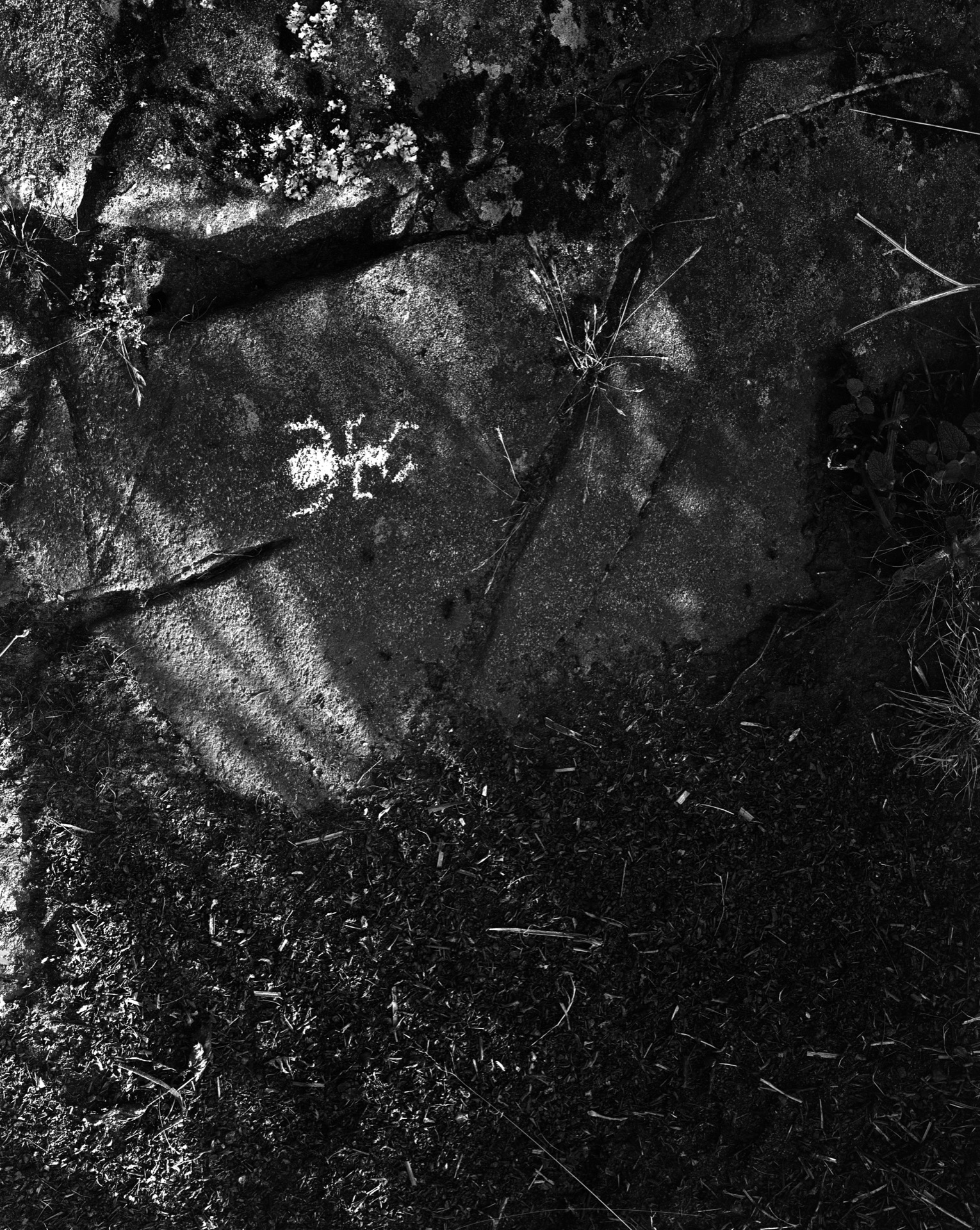 Ant drawing, Charcoal on Rock, Ardpatrick, 1979