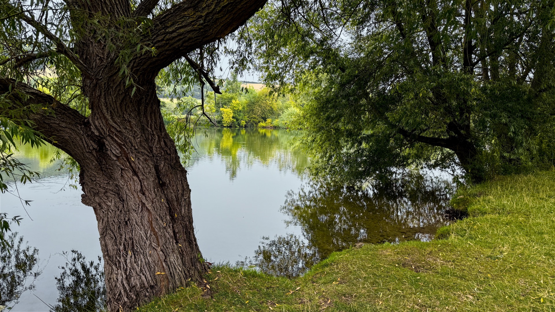 The Thames at Pangbourne