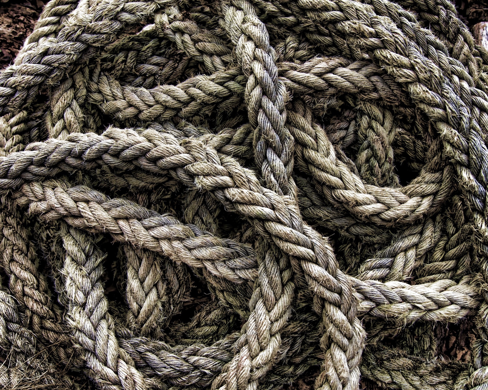 Photo by Tim Boote on Unsplash